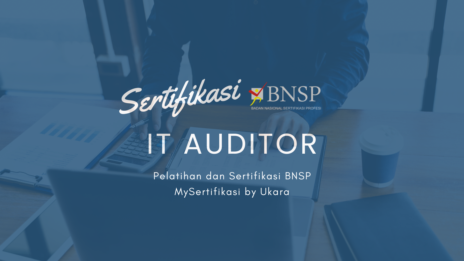 IT Auditor